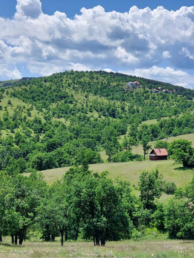 Iva Lägenhet Zlatibor Exteriör bild